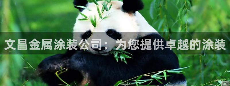 美高梅至尊卡级别