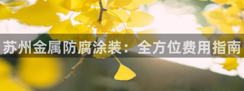 美高梅公司的业务范围