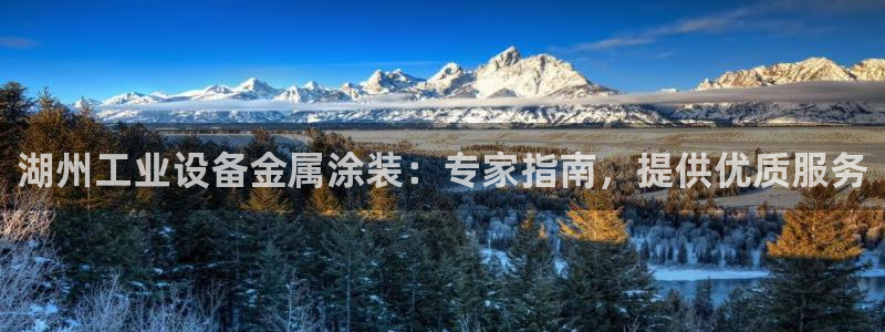 美高梅筹码图片高清