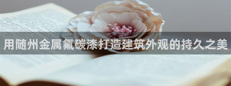 美高梅集团何超琼