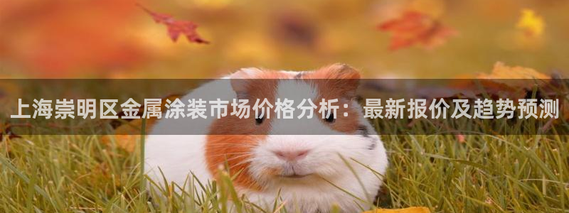 美高梅和永利是一家吗