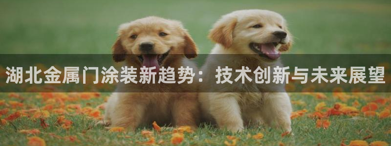 美高梅是哪里的品牌