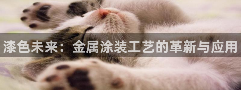 美狮美高梅酒店免费奶茶