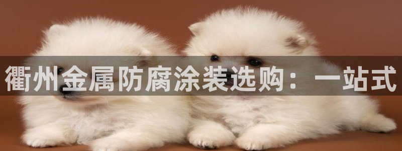 美高梅中国控股有限公司