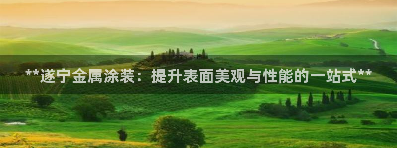 美高梅股份有限公司