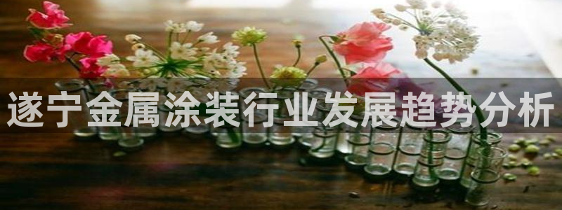 美高梅大酒店老板