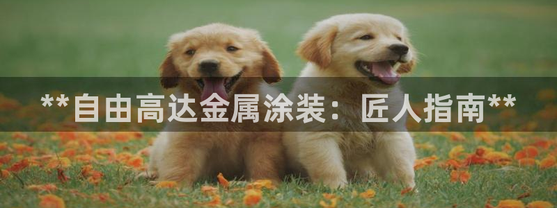 美高梅大酒店拉斯维加斯