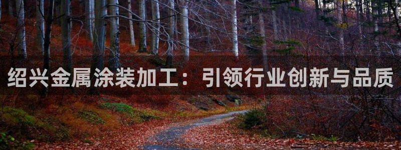 美高梅酒店是几星级