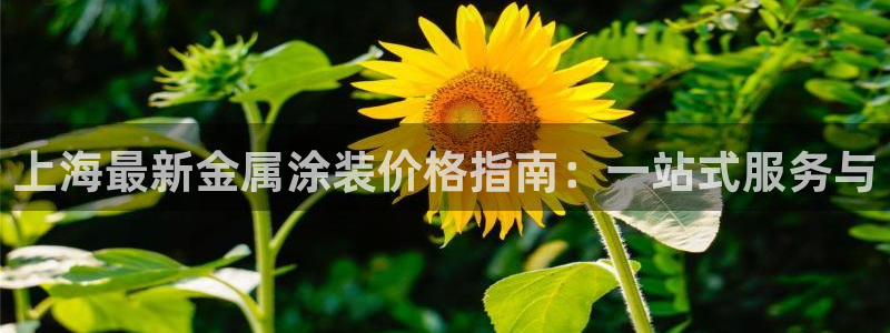 美高梅酒店青岛自助