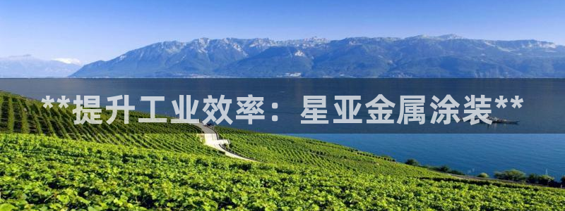 美高梅游戏官网app可以玩吗