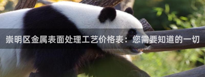 美高梅是谁的资产