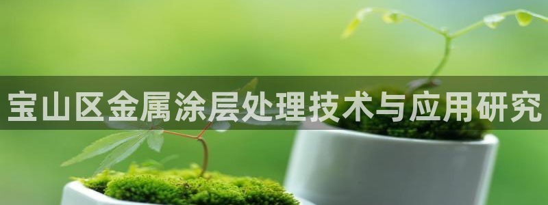 美狮美高梅酒店跟铁塔近吗