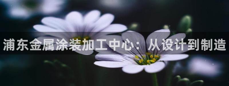 美狮美高梅酒店五行属什么