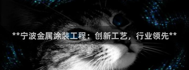 美高梅度假酒店会员卡