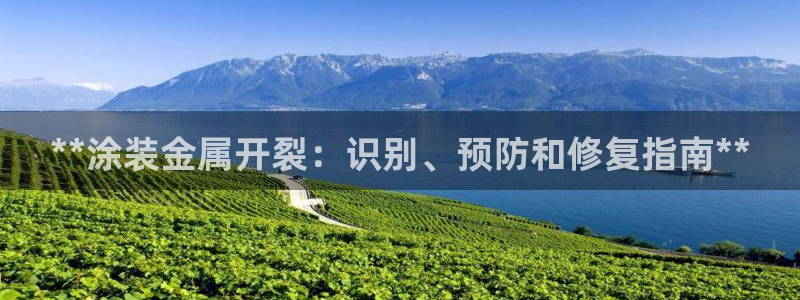 美狮美高梅酒店是几星