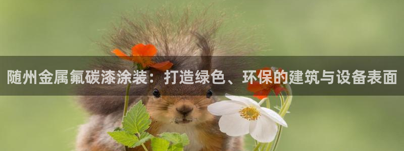 澳门的美高梅是谁的：随州金属氟碳漆涂装：